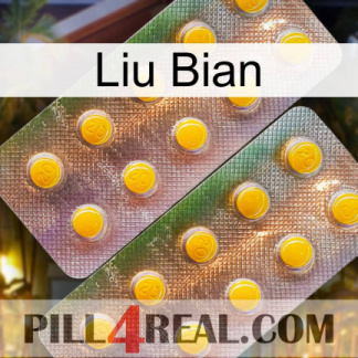 Liu Bian new10